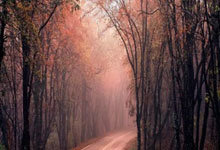 高清图:苏神大吼拥梅西跳蚤眯眼竖大拇指卖萌.