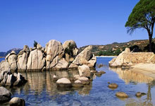 杨瀚森21+9洛夫顿遭驱逐 青岛力克上海取5连胜.